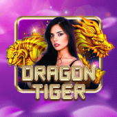 Dragon Tiger live dealer at ph222 vip login